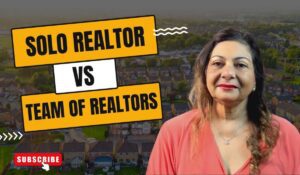 Solo Realtor or Team Agent